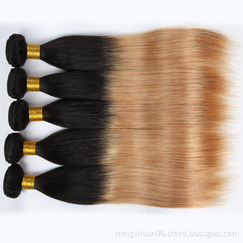 1b/27 straight colored hair extension human hair